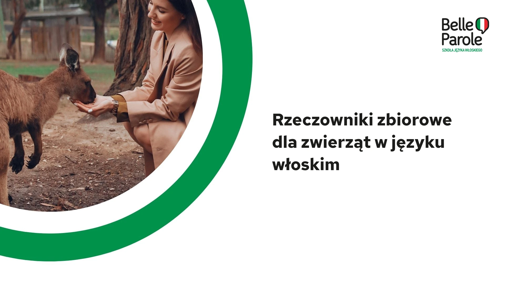 Rzeczowniki zbiorowe dla zwierząt w języku włoskim