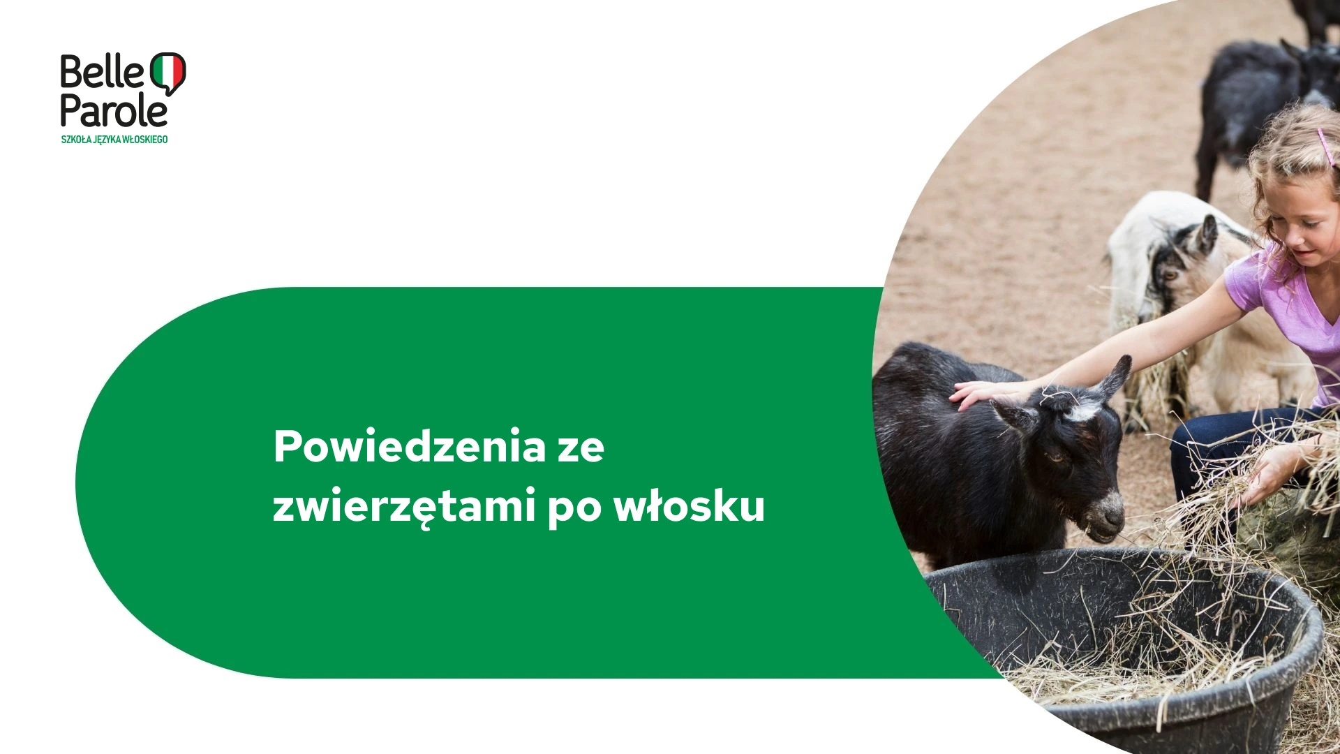 Śmieszne powiedzenia, cytaty i frazy związane ze zwierzętami