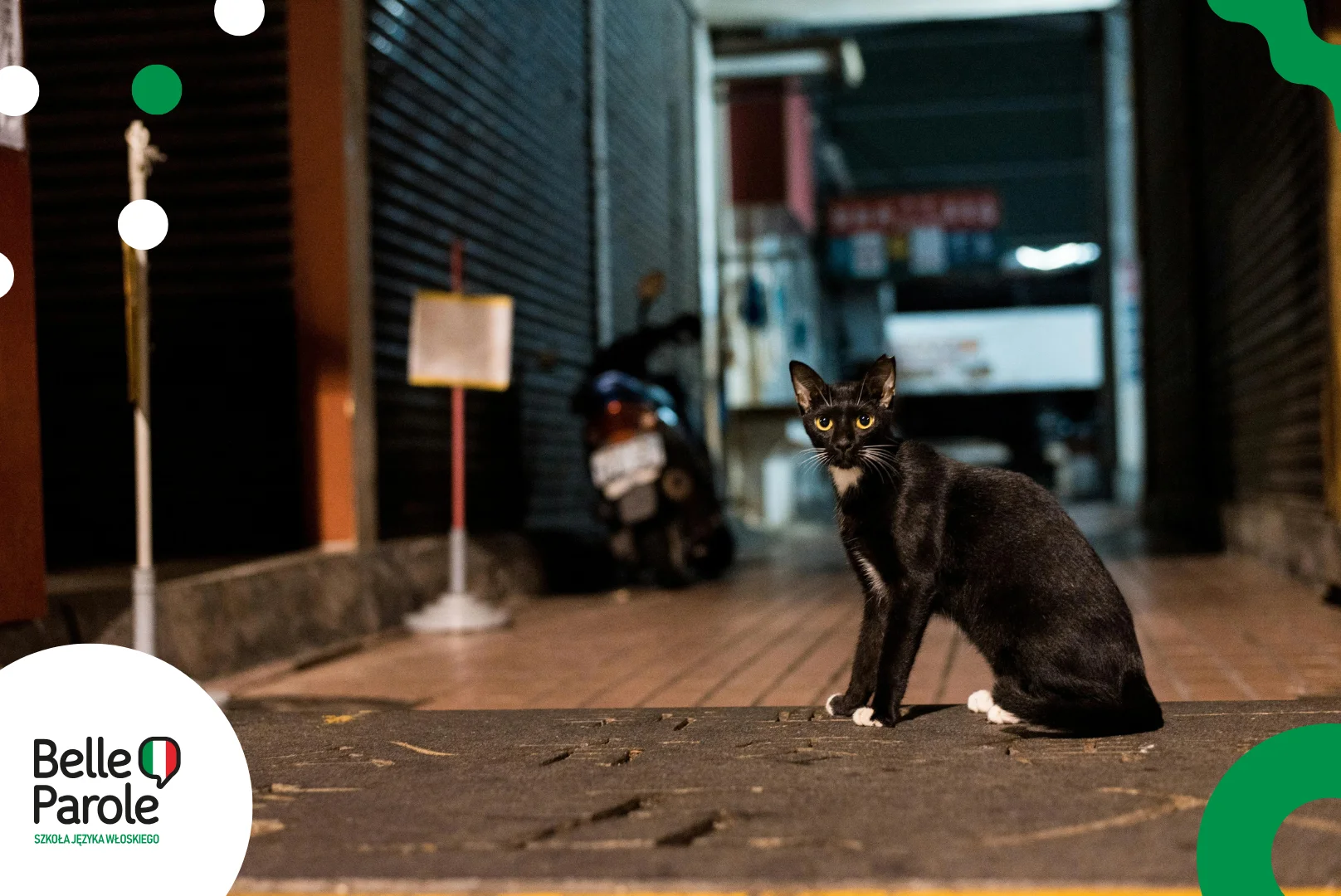 Czarny kot przebiegający drogę